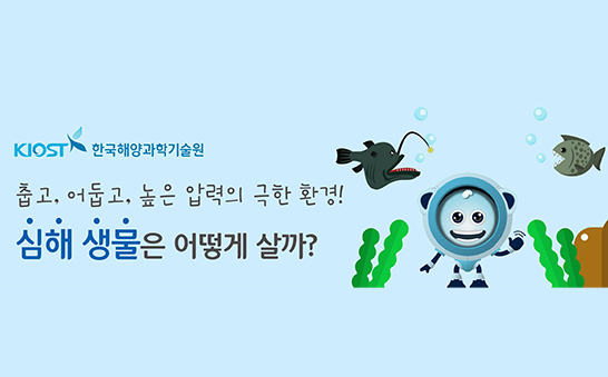 춥고, 어둡고, 높은 압력의 극한 환경! 심해 생물 은 어떻게 살까?의 사진