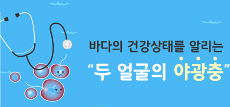 바다의 건강상태를 알리는 두 얼굴의 야광충의 사진