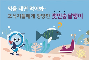 먹을 테면 먹어봐~ 포식자들에게 당당한 갯민숭 달팽이의 사진