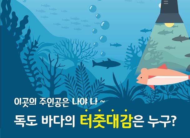 독도 바다의 터줏대감은 누구?의 사진