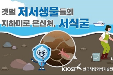 갯벌 저서생물들의 지하미로 은신처, 서식굴의 사진