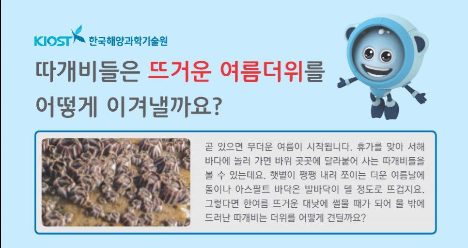 따개비들은 뜨거운 여름더위를 어떻게 이겨낼까요?의 사진