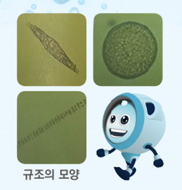 바다에도 허파가 있다?의 사진