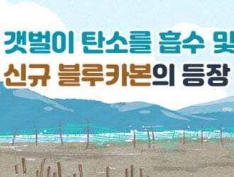 갯벌이 탄소를 흡수 및 저장한다, 신규 블루카본의 등장의 사진